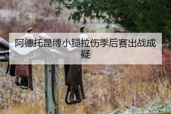 阿德托昆博小腿拉伤季后赛出战成疑
